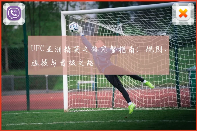 UFC亚洲精英之路完整指南:规则、选拔与晋级之路