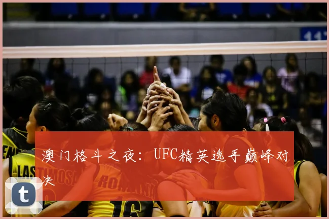澳门格斗之夜：UFC精英选手巅峰对决