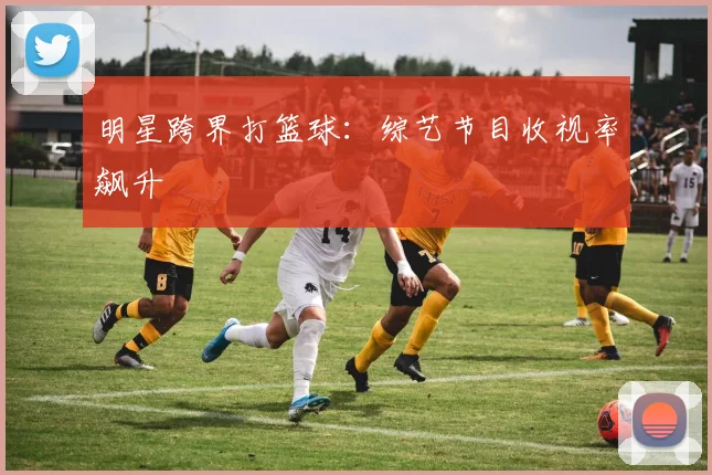 明星跨界打篮球：综艺节目收视率飙升