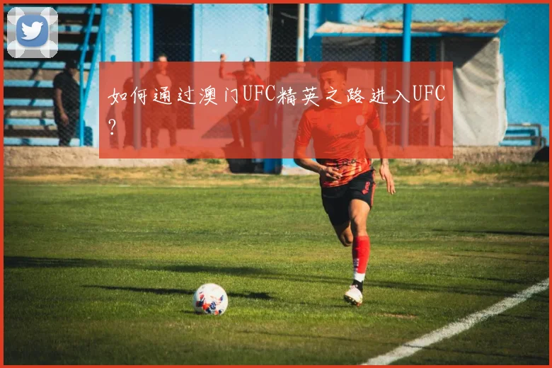 如何通过澳门UFC精英之路进入UFC？