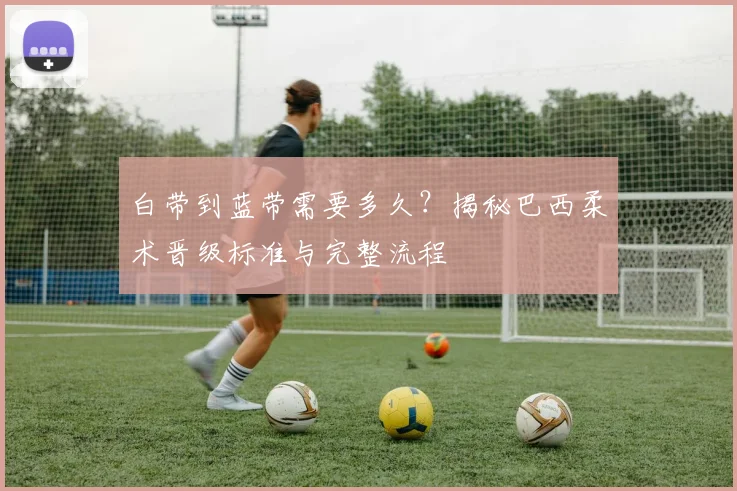 白带到蓝带需要多久？揭秘巴西柔术晋级标准与完整流程
