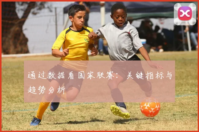 通过数据看国家联赛：关键指标与趋势分析