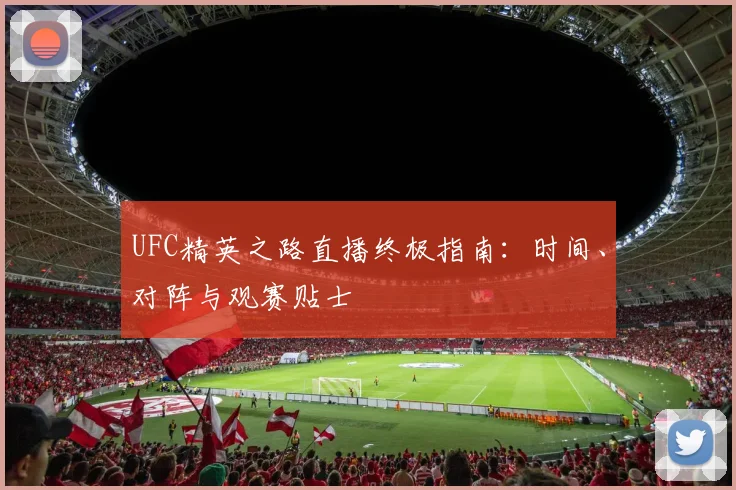 UFC精英之路直播终极指南：时间、对阵与观赛贴士